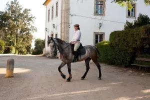 Quinta dos Álamos Agroturismo - 托雷斯诺瓦斯