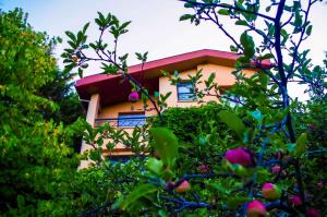 Cabană Villa de Calma Polýdendron Grecia