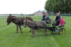 B&B / Chambres d'hotes Ferme De La Canardiere : photos des chambres