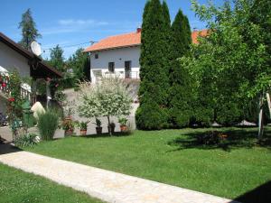 Apartment Ilija