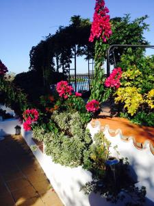 Apartments Hortenzija