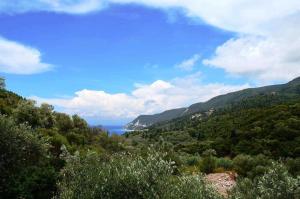 Rania Apartments Lefkada Greece