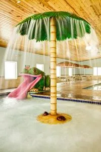 Med City Inn & Suites Rochester Mayo Clinic Area - Рочестер