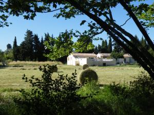 Maisons de vacances Maison de la Mascotte : photos des chambres