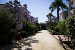 Case Vacanza Torre Lupa