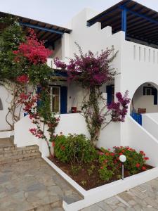 Villa Maniati Studios Andros Greece