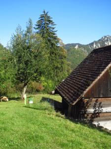 Apartment da Gabriela