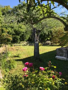Villa du Sud