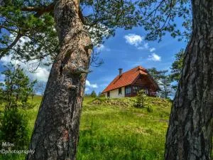 Cottage Vodice - Dobroselica