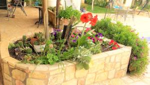 Jacuzzi Pool House AMA5690