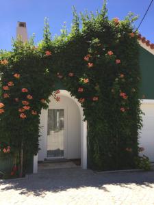 Two-Bedroom House room in Horta dos Cedros