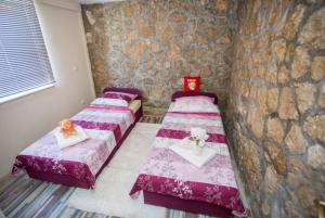 Apartment Any 