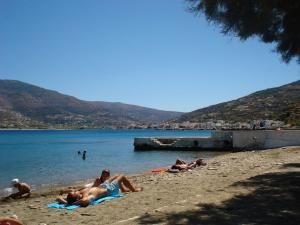 Villa Althea in Andros Andros Greece