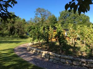 Ferien-Wein-Gut Keifer