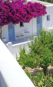 Yiannis Studios Paros Greece