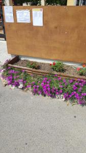 Campings Camping la Chicanette : photos des chambres