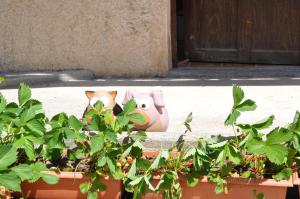 Campings Camping du Moulin de Thoard : photos des chambres