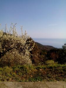 Nightingale Cottage Pelion