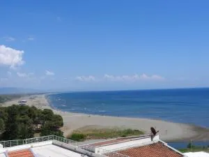 Apartments Basha 1 - Long Beach - Улцинь