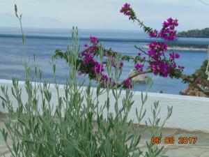 Pigi Cottage Skopelos Greece