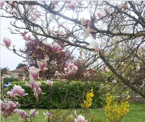 Maisons d'hotes Chez Colombine : Chambre Double - Vue sur Jardin