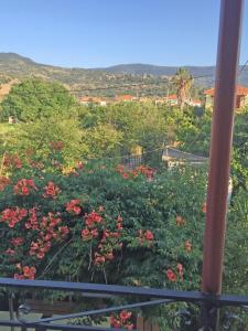 Acapoulco apartments Lesvos Greece