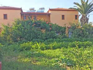 Acapoulco apartments Lesvos Greece