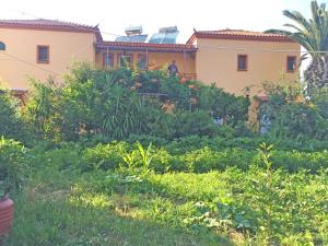 Acapoulco apartments Lesvos Greece