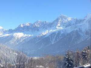 Chalets Les Cimes du Montblanc : photos des chambres