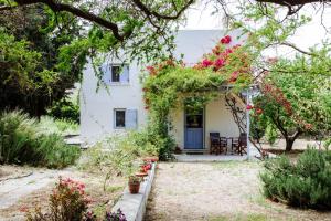 Margouno Eco Cottage Naxos Greece