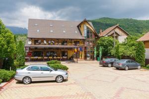 Double or Twin Room with Shower room in Pensiunea Alfrid