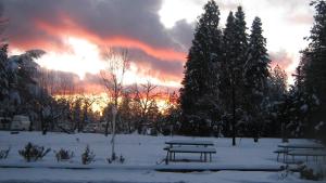 Westhaven Inn Pollock Pines Camino