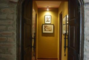 Black Shark Apartments