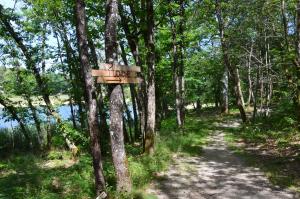 Camping Etang Vallier photo 9