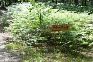 Camping Etang Vallier photo 12