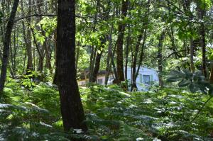 Camping Etang Vallier photo 15