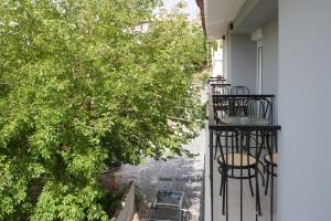 Pension Avocado Skiathos Greece