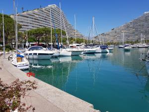 Appartements Apartments at Commodoro : photos des chambres