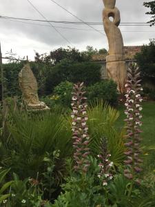 Domaine des Deux Cèdres photo 18