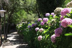 Hotel Villa Selene img20