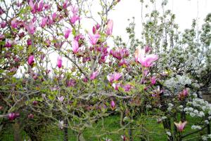 A casa di Gianna B&B