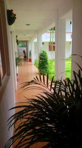 Hotel Posada La Bonita