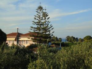 Dimaras Apartments Zakynthos Greece