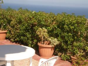 Isola Rossa Appartamenti Paduledda img73