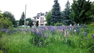 Appartements Appartement Style Campagne - Vue montagne - Expose plein Sud - Belle terrasse - : photos des chambres