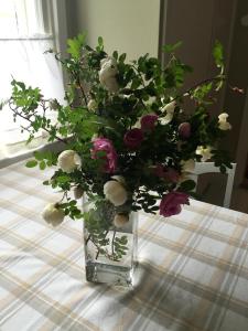 Gran Hotellihuoneistot 2