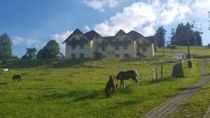 Połonina - Korbielów