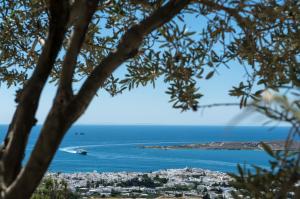 Olive Tree House in Parikia Paros Greece