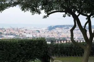 D'AGO48 - Pinocchio di Ancona