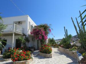 Corali Hotel Beach Front Property Ios Greece